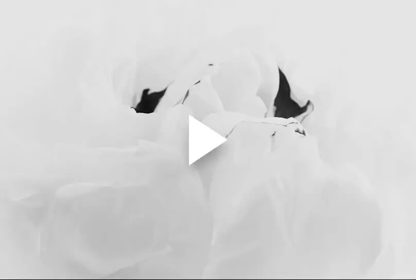 Platinum Jewellery Shop Near You